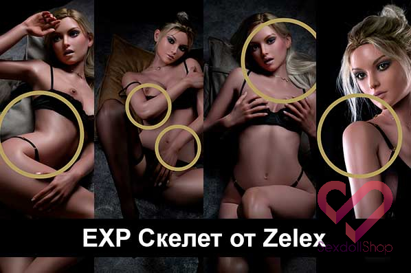 Улучшенный EXP скелет от ZELEX: сравнение EVO и EXP скелетов