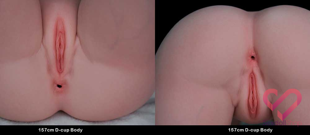 TOP-CY-LHP-157-D-Cup