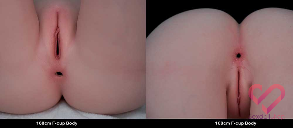 TOP-CY-LHP-168-F-Cup