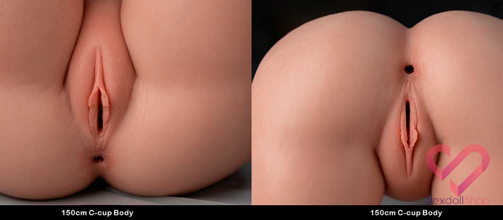 TOP-CY-LHP-150-C-Cup