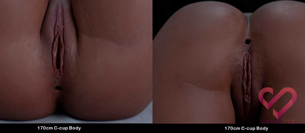 TOP-CY-LHP-170-C-Cup