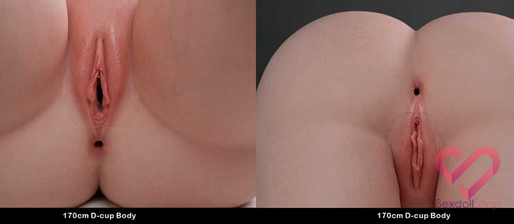 TOP-CY-LHP-170-D-Cup