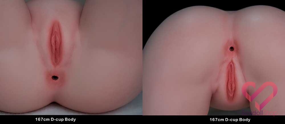 TOP-CY-LHP-167-D-Cup