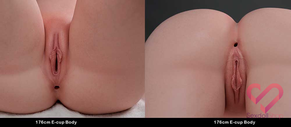 TOP-CY-LHP-176-E-Cup