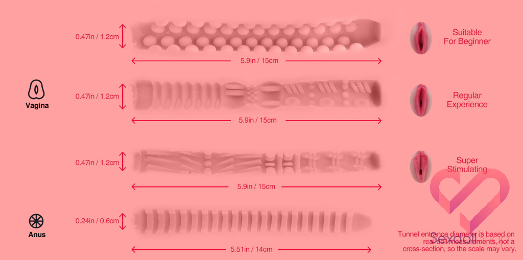 Daisy pro Big Ass Removable Vagina Sex Doll Vaginal and Anal Diagram.jpg