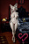 Секс кукла SY Doll Moonvale Sorelle.C 160C Silicone 