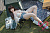 Секс кукла Jiusheng Doll Aki 152 Silicone 