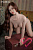 Секс кукла Fanreal Yuki 158B Silicone 