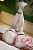 Секс кукла SY Doll Moonvale Lyora.C 155B Silicone 