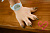 Секс кукла SY Doll Moonvale Lyora.B 155B Silicone 