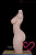 Мастурбатор торс FunWest Alice 103G Silicone — купить мастурбатор