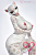 Секс кукла SY Doll Moonvale Velara.A 165D Silicone 