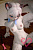Секс кукла SY Doll Moonvale Lyora.C 155B Silicone 
