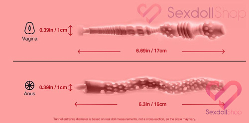 Мастурбатор торс Tantaly Donna 60 