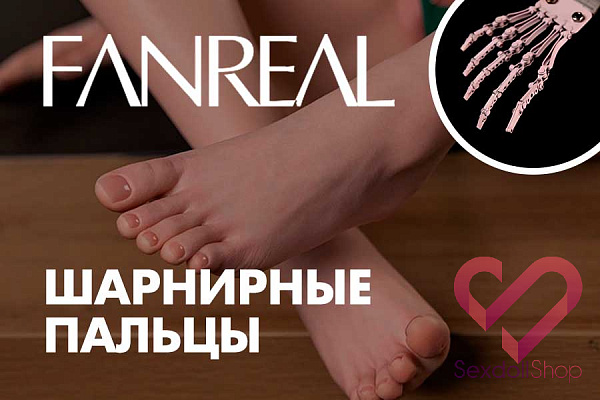 FANREAL: Шарнирные пальцы и суставы стопы