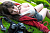 Секс кукла Firefly Diary Jiu Chan 164 Silicone 