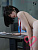 Секс кукла TOP-CY Shizukawa Yuri 168F Silicone 
