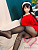 Секс кукла Aotume 090 155F TPE 