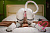 Секс кукла SY Doll Moonvale Lyora.C 155B Silicone 