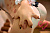 Секс кукла SY Doll Moonvale Lyora.A 155B Silicone 