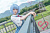 Секс кукла Game Lady Rei Ayanami 156 Silicone 