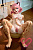 Секс кукла SY Doll Moonvale Lyora.A 155B Silicone 