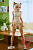 Секс кукла SY Doll Moonvale Lyora.B 155B Silicone 