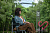 Секс кукла Firefly Diary Tian Xing 164 Silicone 