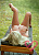 Секс кукла Lusandy Heidi 170 Silicone 