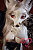Секс кукла SY Doll Moonvale Sorelle.C 160C Silicone 