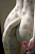 Секс кукла SY Doll Moonvale Lyora.C 155B Silicone 