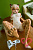 Секс кукла SY Doll Moonvale Lyora.B 155B Silicone 