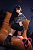 Секс кукла Jiusheng Doll Sora 158 Silicone 