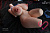 Мастурбатор торс Jiggly Joy JJT90 Roxy 88 Silicone 