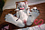 Секс кукла SY Doll Moonvale Lyora.C 155B Silicone 