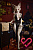 Секс кукла SY Doll Moonvale Sorelle.C 160C Silicone 