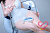 Секс кукла Irontech Misa 153 Silicone 