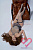 Секс кукла Primesexdoll Daphne 164F Silicone 