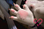 Секс кукла SY Doll Moonvale Lyora.C 155B Silicone 