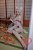 Секс кукла Jiusheng Doll Yume 152 Silicone ROS 